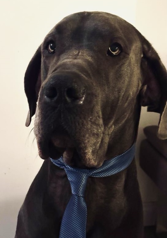 Image of Winston Maddock